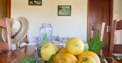 Casa en Can Mir en una sola planta, con jardín y piscina
