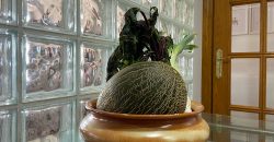 Piso amplio y luminoso con bonitas vistas