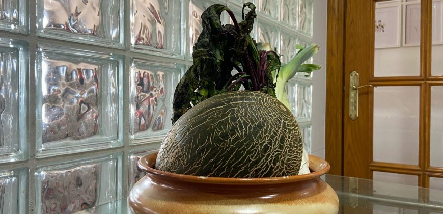 Piso amplio y luminoso con bonitas vistas